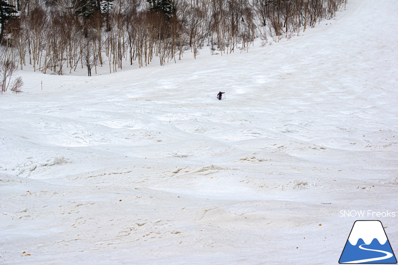 札幌国際スキー場｜山頂の積雪は、300cm！連日の春スキー＆スノーボード日和から一転、今日は冬が帰ってきました♪